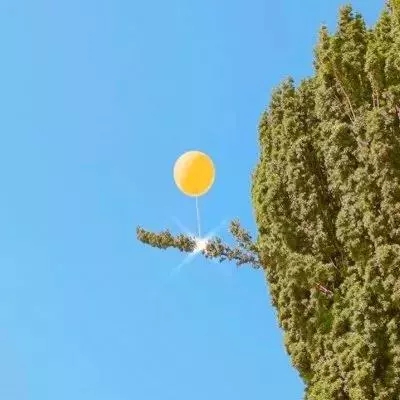 球球大作战盒子官方下载